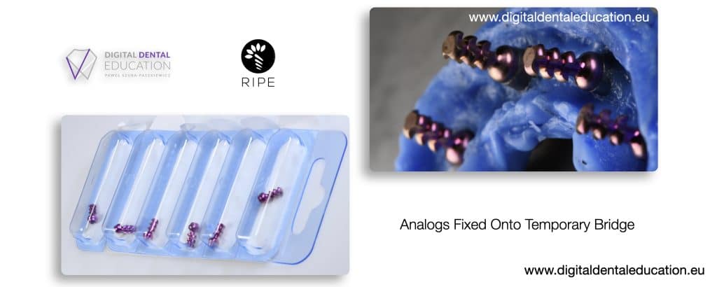 ‎Michalska FULL.‎051