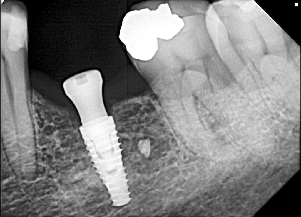 01_test_test_21122023