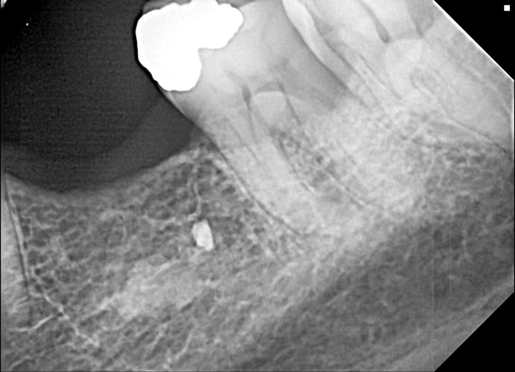 01_test_test_21122023pre