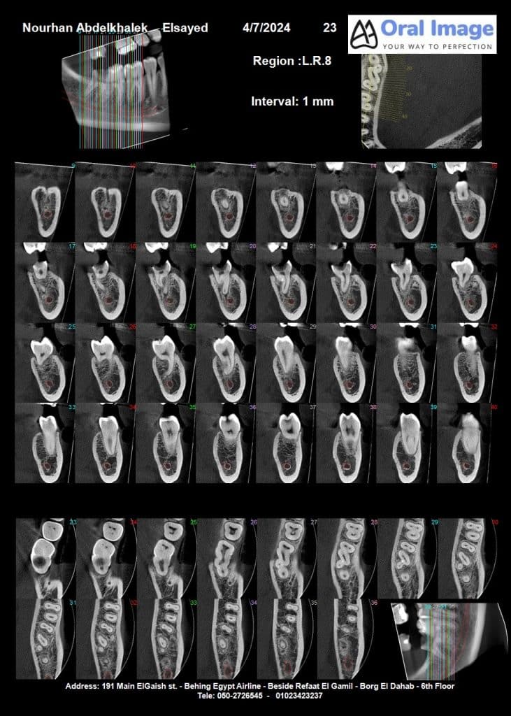 835f0662-c353-41cc-9fa4-f5419b2107d5