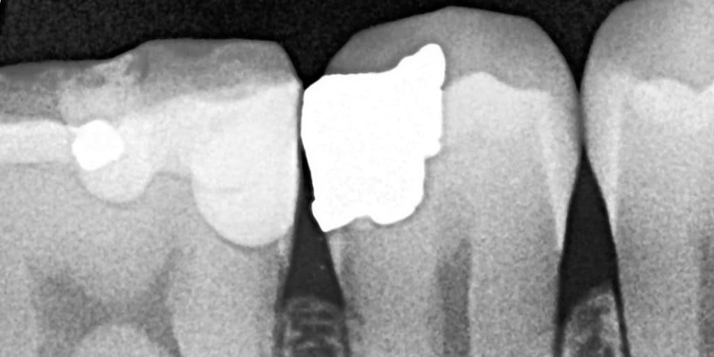 ليث شامل احمد_20240510211647