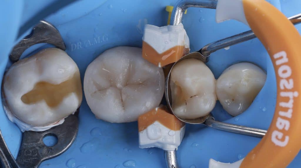 289B46CD-F6AA-4901-BDC4-BA494F64417F