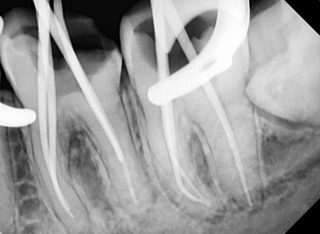 62679B12-4F21-47D4-BB9E-8FBE8495B220