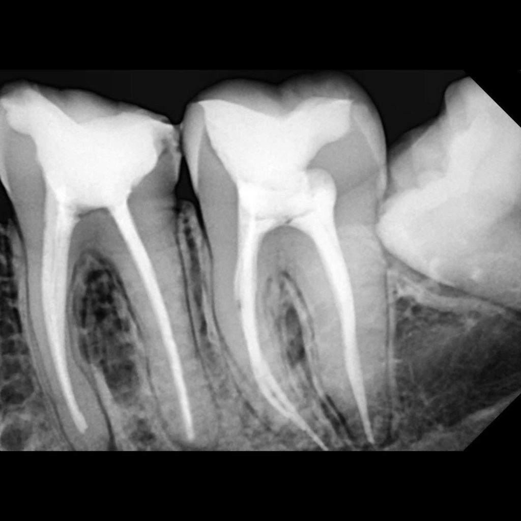 83FA7E5F-64DE-4B2E-8725-8B73D1FD3A8D