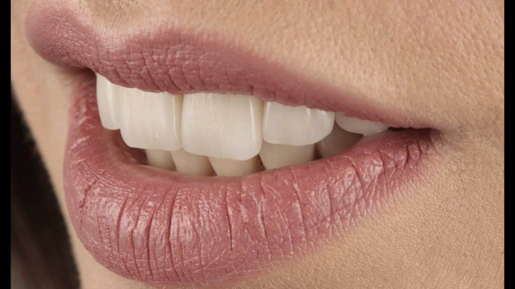 zerodonto aggiornamento.029