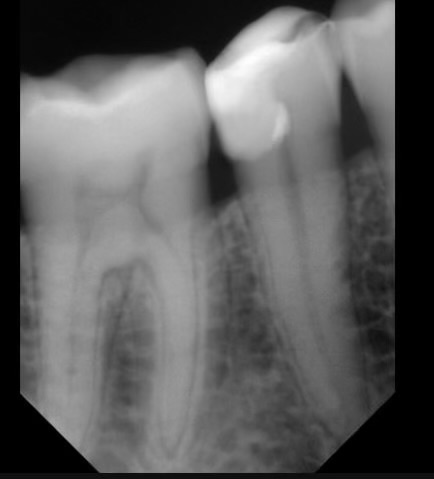 Facetune_17-07-2024-19-02-15