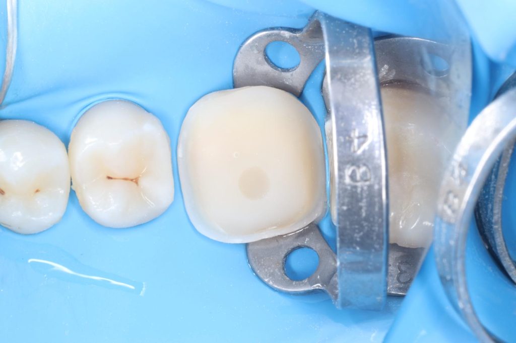 9fdad369-6bb0-4542-9587-42fa59dfbcc1