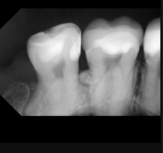 Facetune_15-08-2024-16-30-18