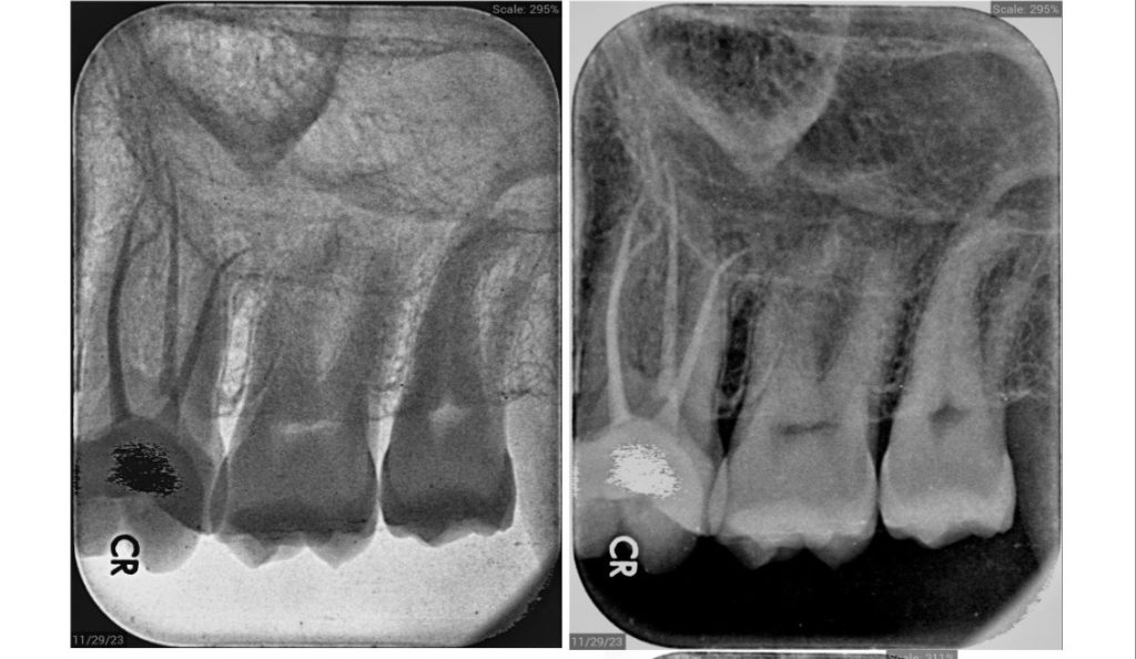 bb1201a6-e1d4-4d39-872c-88419234f79d