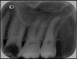 bcba598a-4b62-41bd-b55c-7f3e611276d9