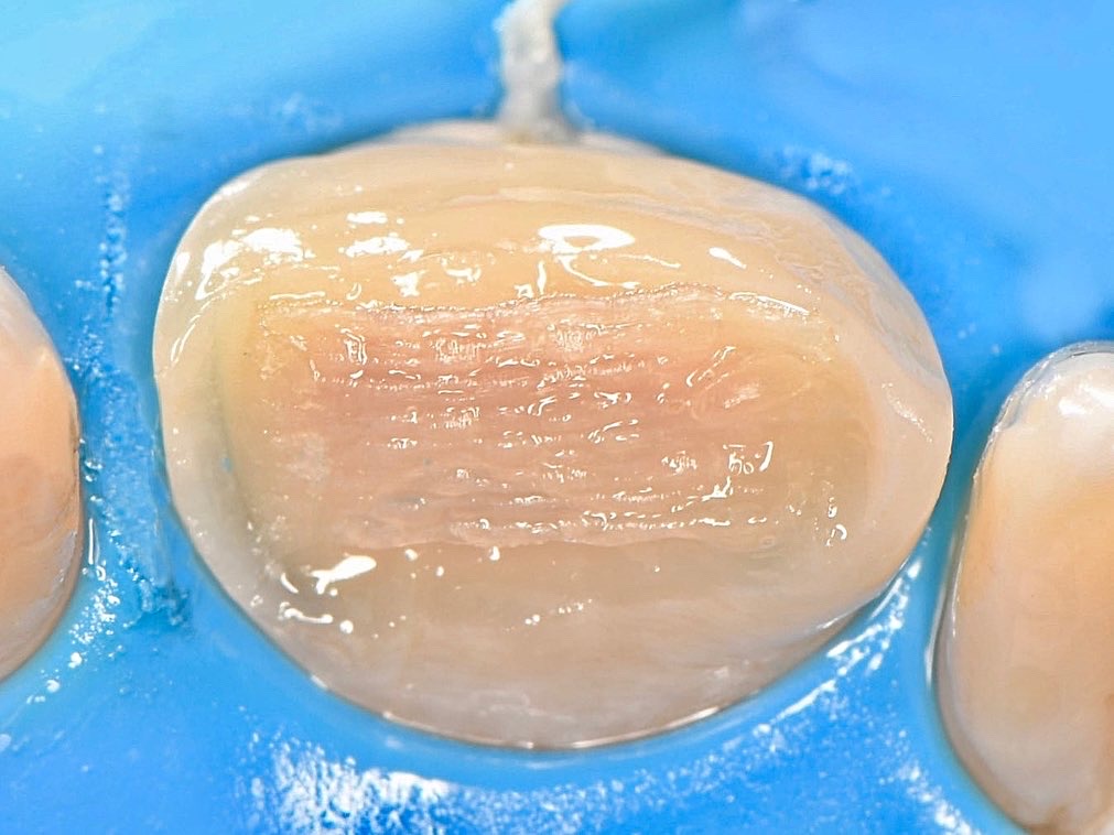 79C8809D-8B96-43EE-90FB-6F4896288DB8