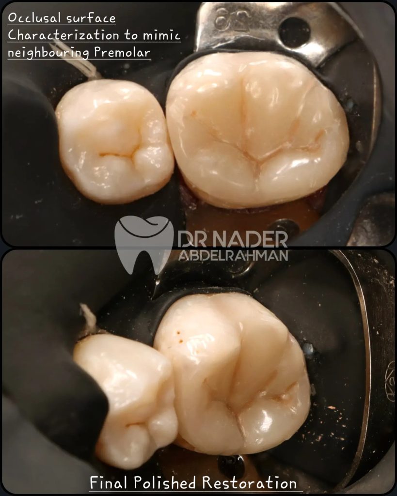 IMG_20240927_134427_151