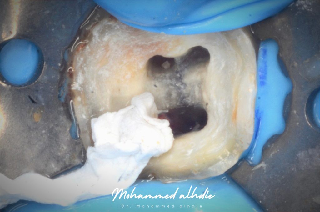 Picsart_24-09-11_22-03-40-173