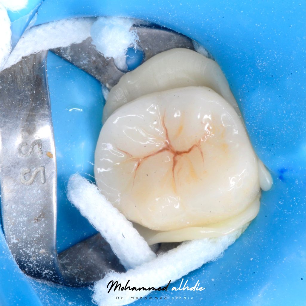 Picsart_24-09-25_00-19-01-413