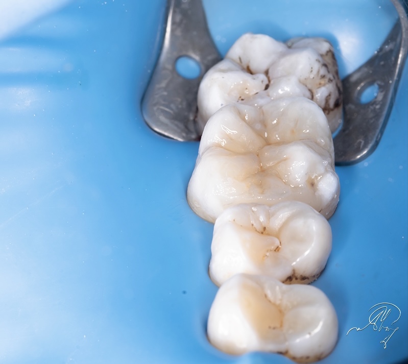 54599194-984A-41C3-BB9B-6A5E7FFE4343