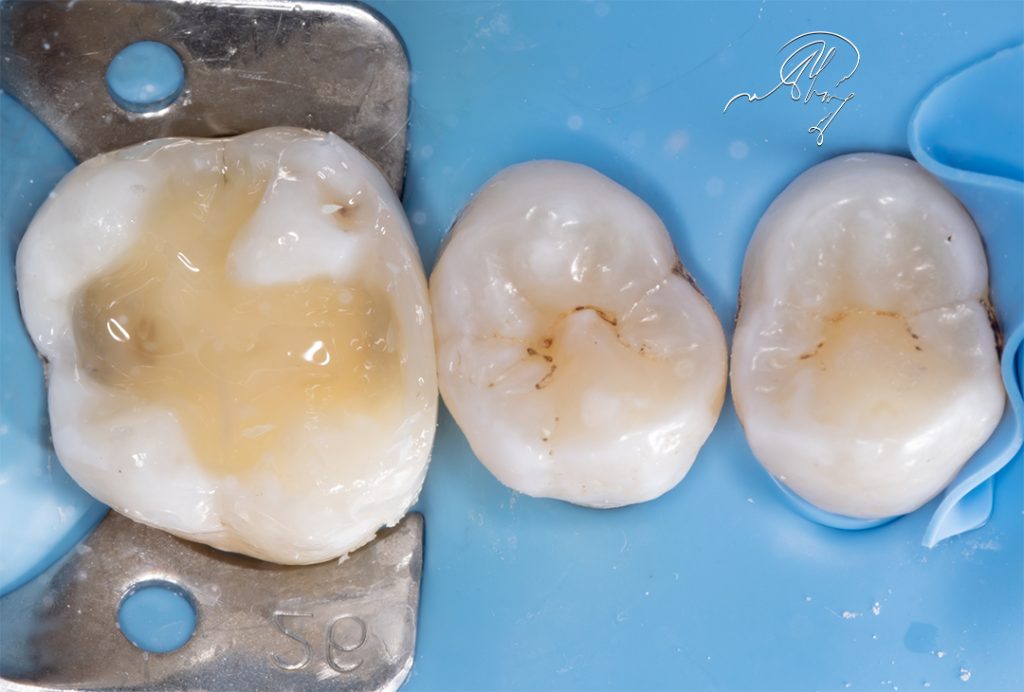 D57B0554-6064-4822-A8CE-0306E228CCBB