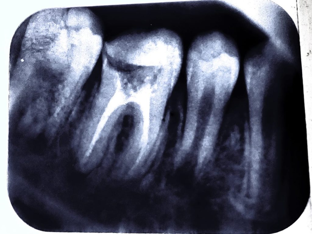 WhatsApp Image 2024-10-22 at 09.02.07_8ca6afe0