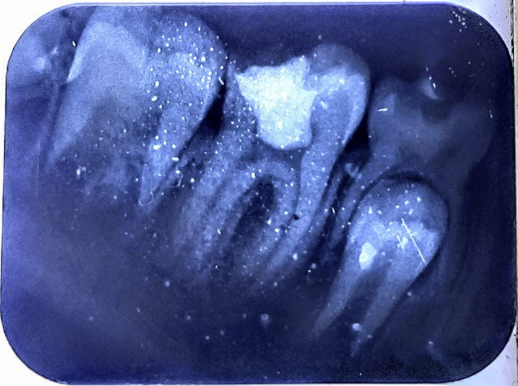 WhatsApp Image 2024-10-22 at 09.02.09_8b752411