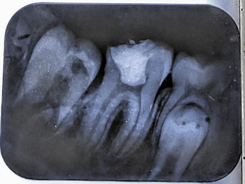 WhatsApp Image 2024-10-22 at 09.02.09_9bc04760