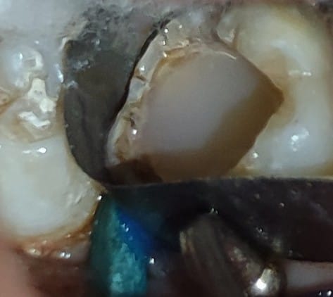 WhatsApp Image 2024-10-22 at 09.21.19_709ff7c2