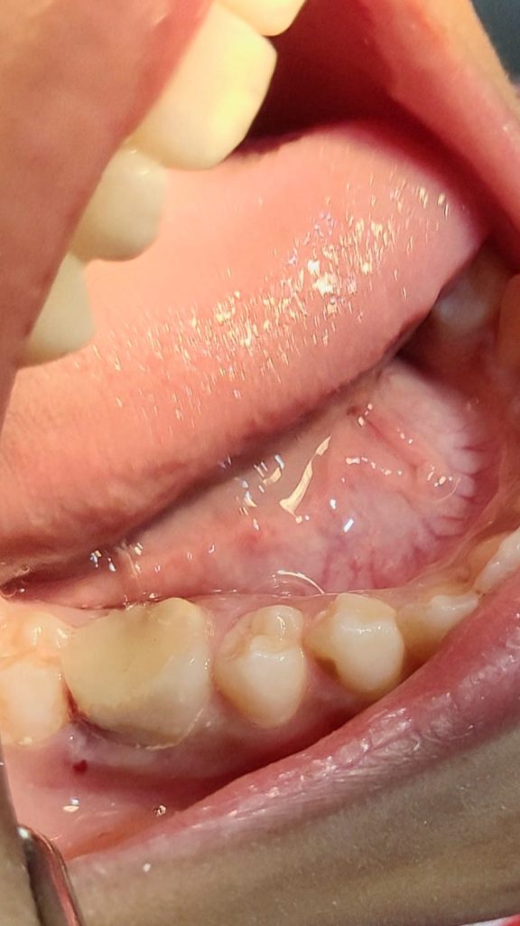 WhatsApp Image 2024-10-22 at 09.21.19_d270b8fa