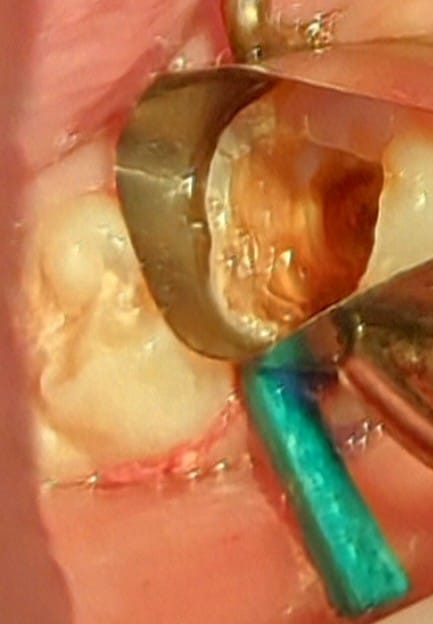 WhatsApp Image 2024-10-22 at 09.21.20_c66204e2