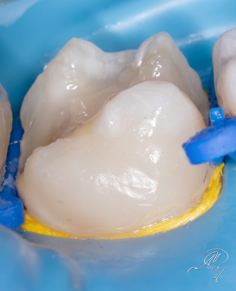 895E3422-B87D-4ADD-8F24-0E557B5EABA4