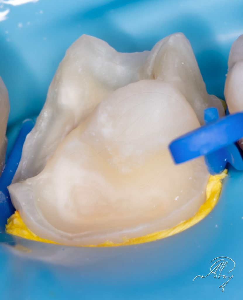 C26F0267-CAE8-4D1C-9472-EB75A88FD22F