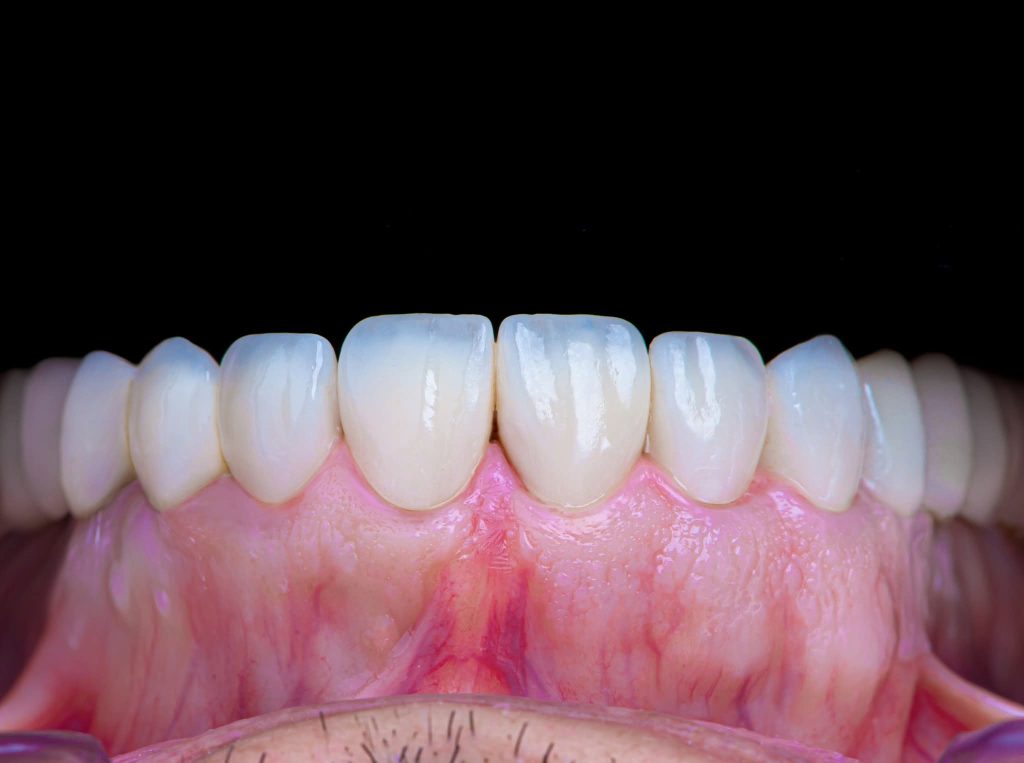 FB_IMG_1734164327508