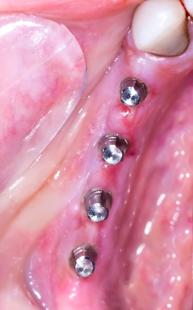 FB_IMG_1734164329739