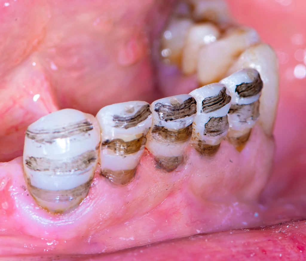 FB_IMG_1734164332536