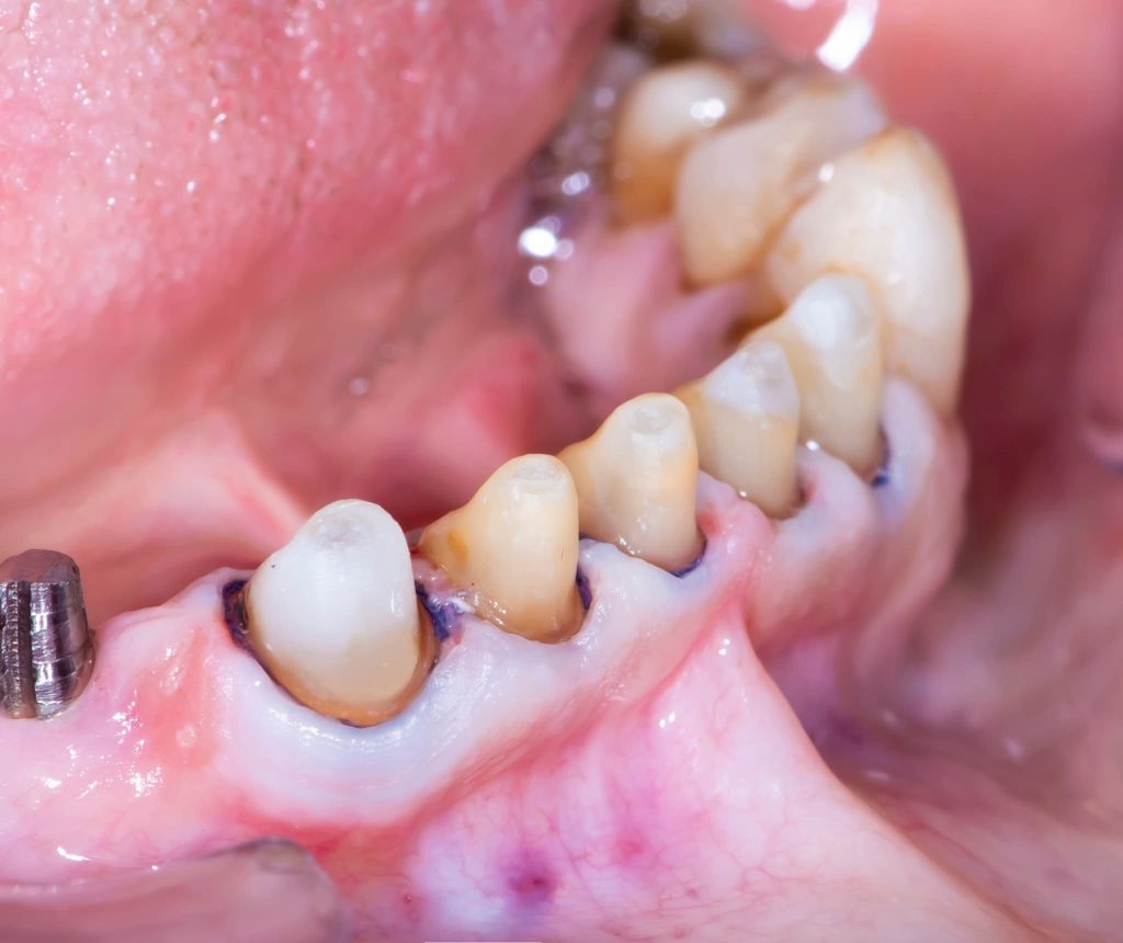 FB_IMG_1734164334850