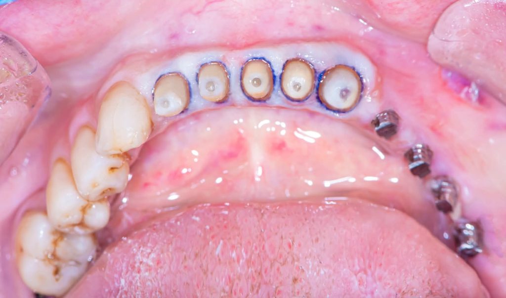 FB_IMG_1734164337181