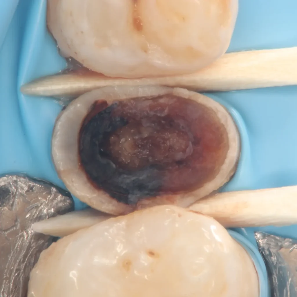 IMG_20241213_141359_995