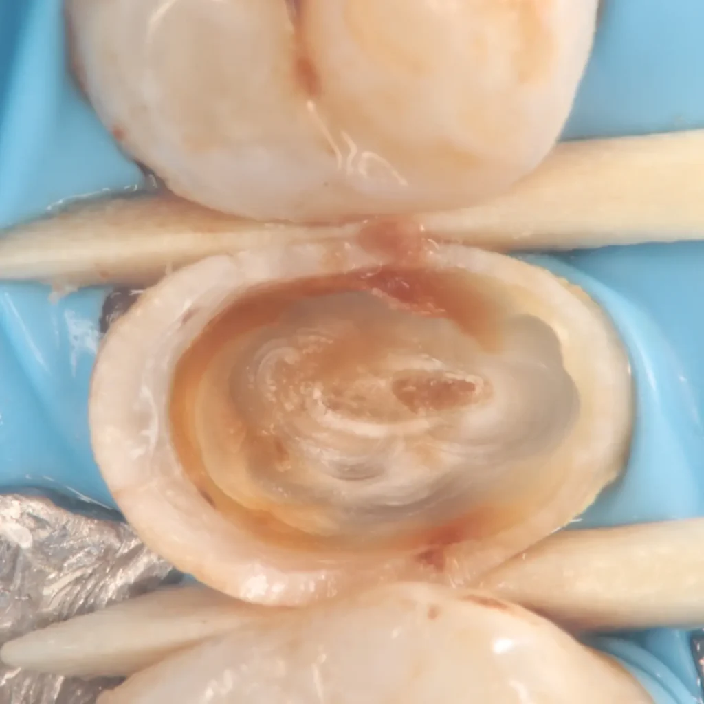 IMG_20241213_141400_097