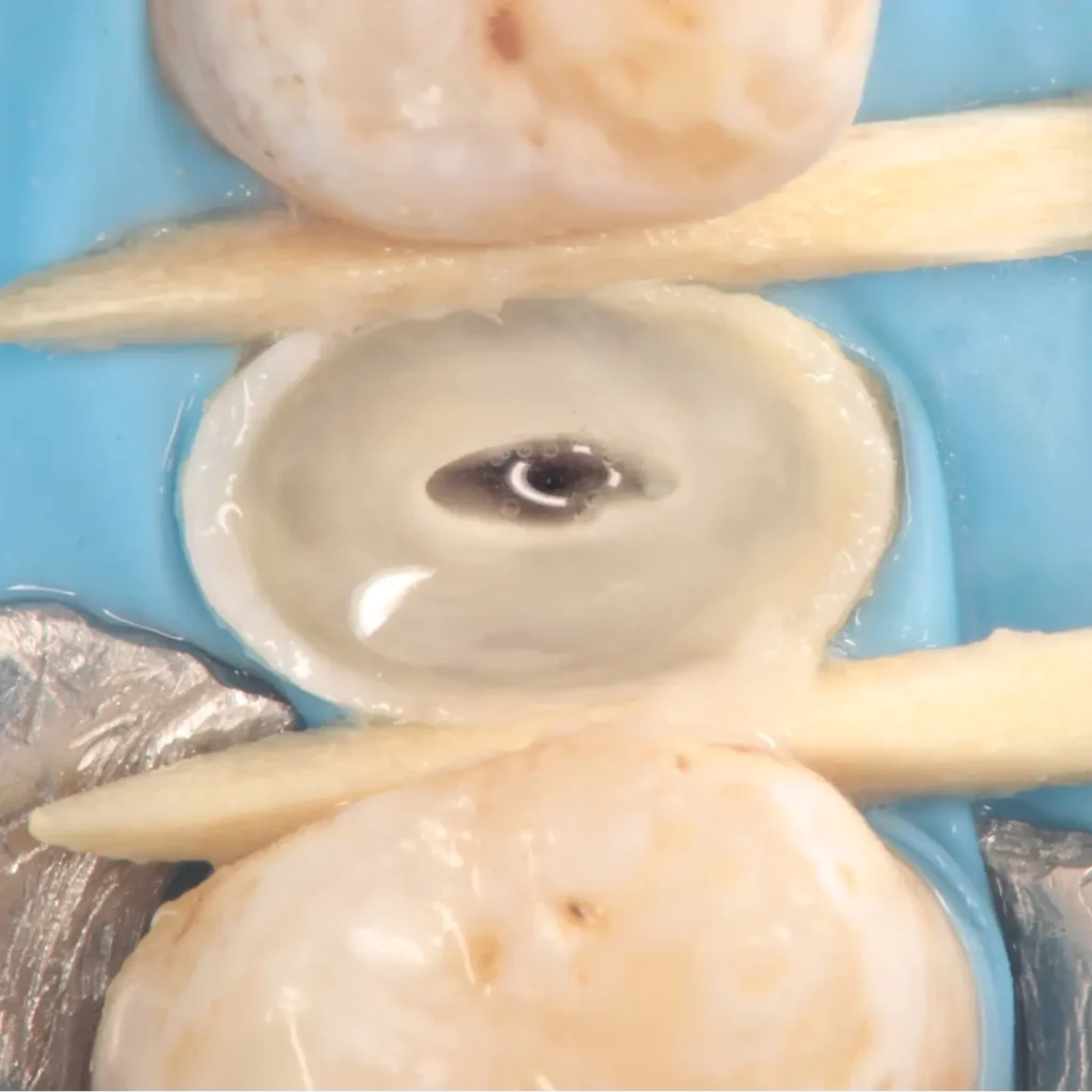 IMG_20241213_141400_159