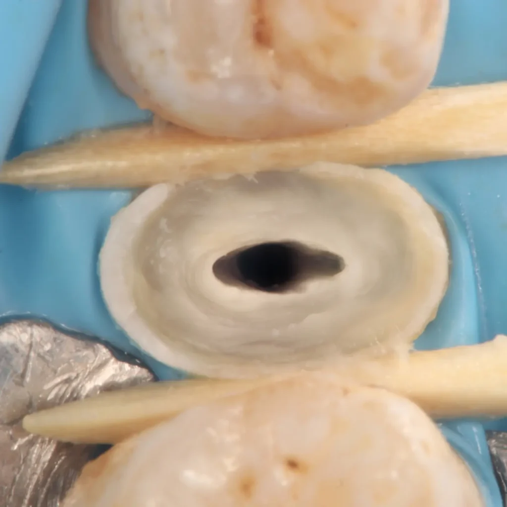 IMG_20241213_141400_220