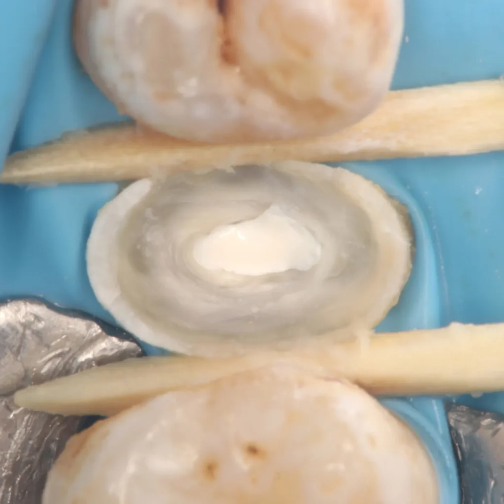 IMG_20241213_141400_254