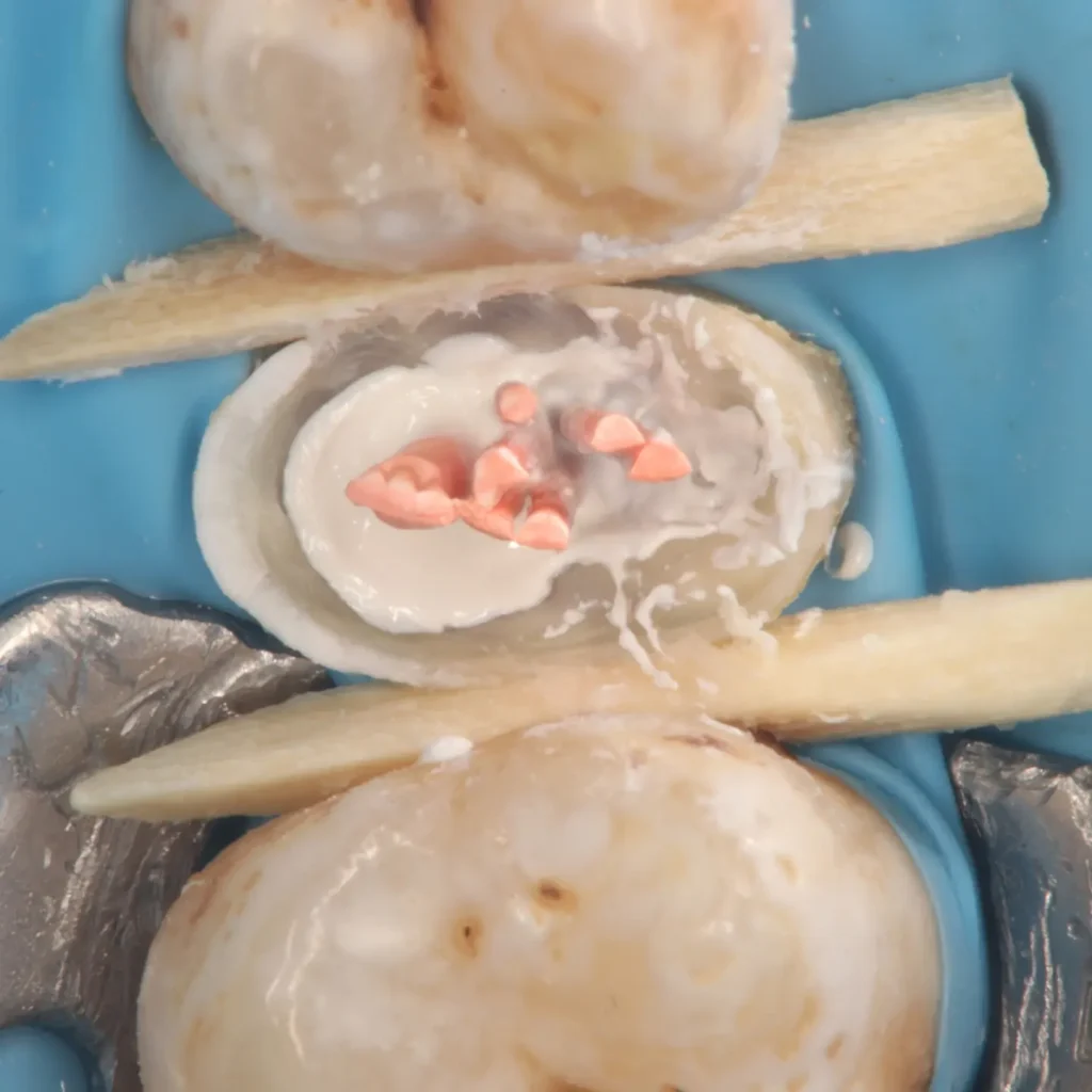 IMG_20241213_141400_319