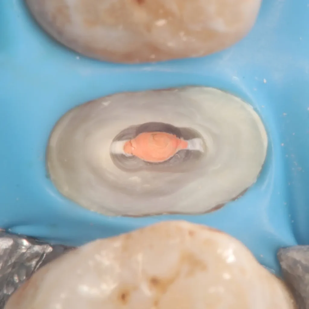 IMG_20241213_141400_377