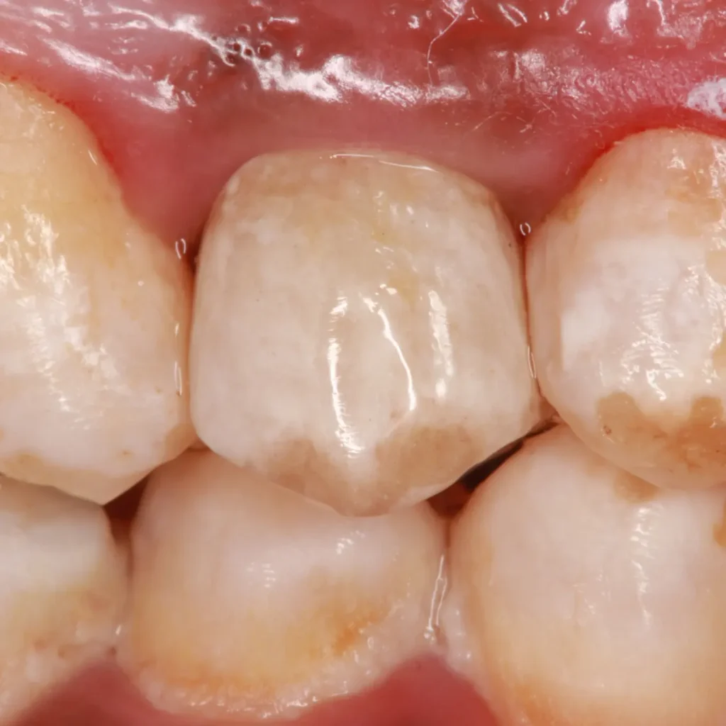 IMG_20241213_141400_695