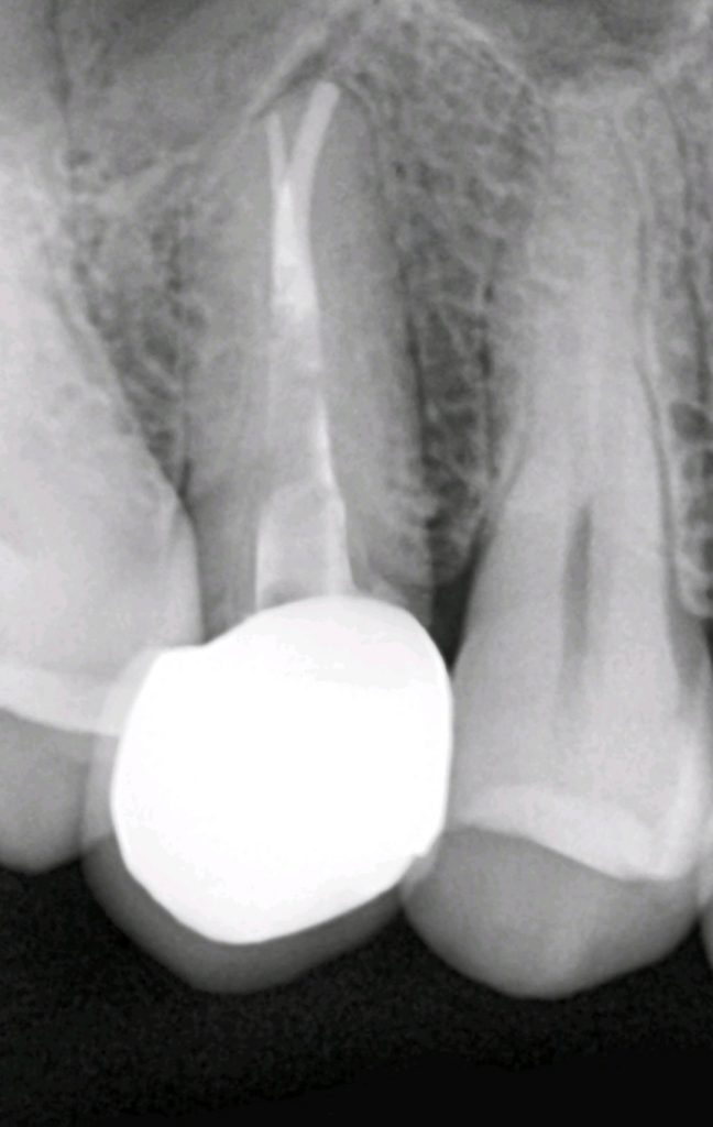 Picsart_24-12-12_15-40-58-831