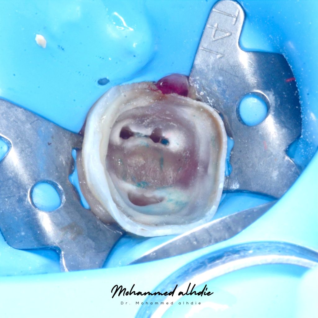 Picsart_24-12-26_23-19-27-653