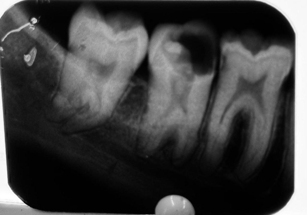 14304D6D-E8D9-47B7-BDC3-2C5D9FBE840F