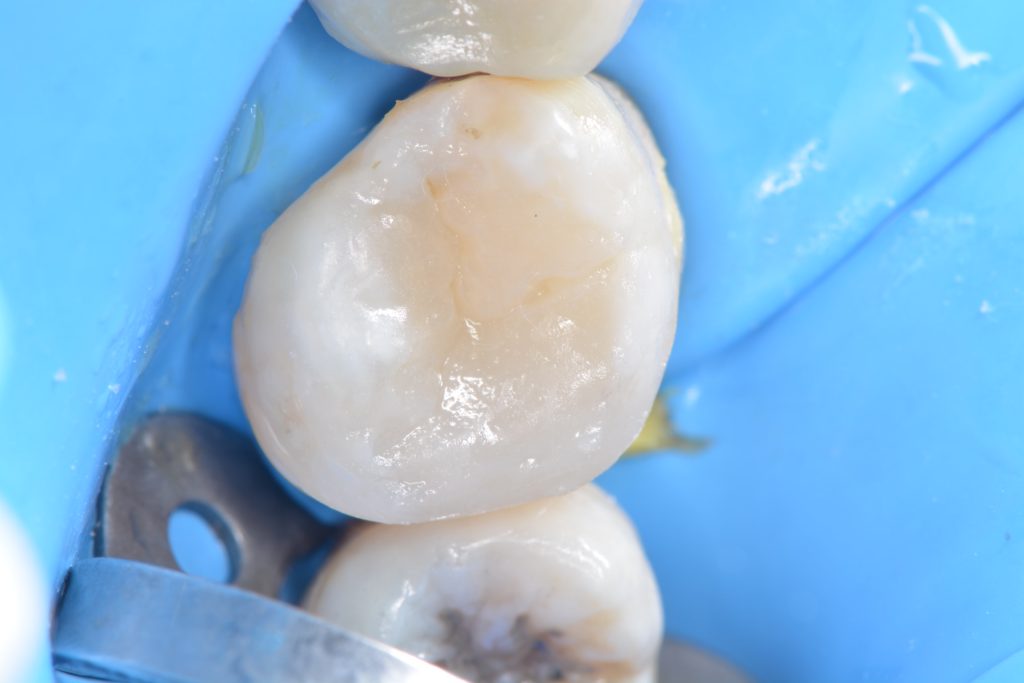 4EFB6697-D356-4E0E-BDEE-A965003DC67D