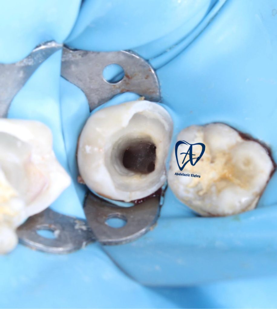 54DB8108-1DB5-4665-91AD-DC58068AFB4D