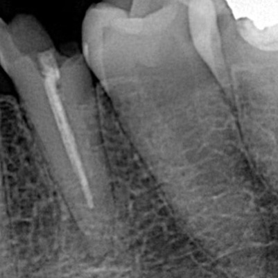 6AB1B3BA-B13C-4358-BA41-6AE989878285