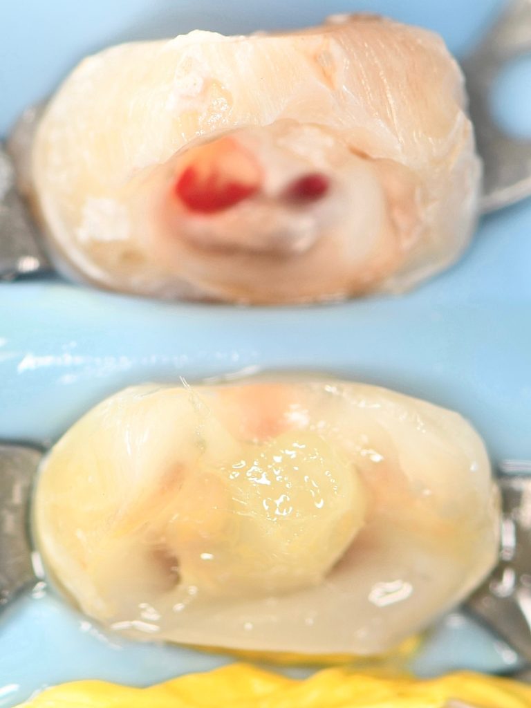 6BB1056E-D1EC-4159-9C84-4721407C28E9