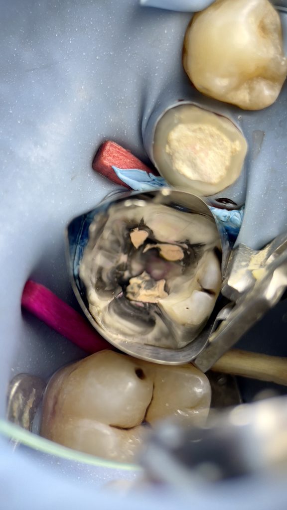 983AF4FF-46CA-43DD-9482-733D93867260