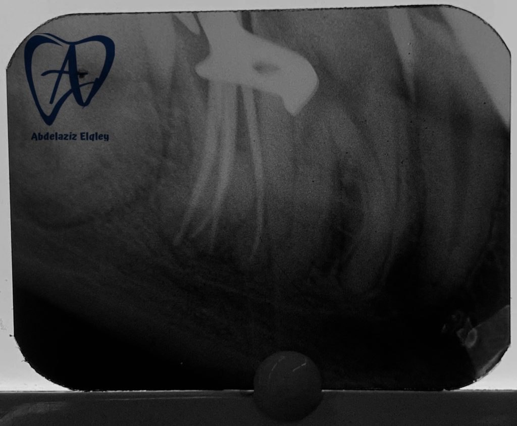 9F77AFEA-704F-4A2F-AC4C-149869BFF961